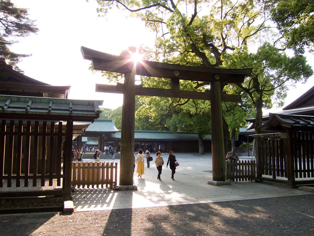 meiji shrine tokyo 4